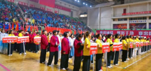 Yang Tai Chi Chuan Classic