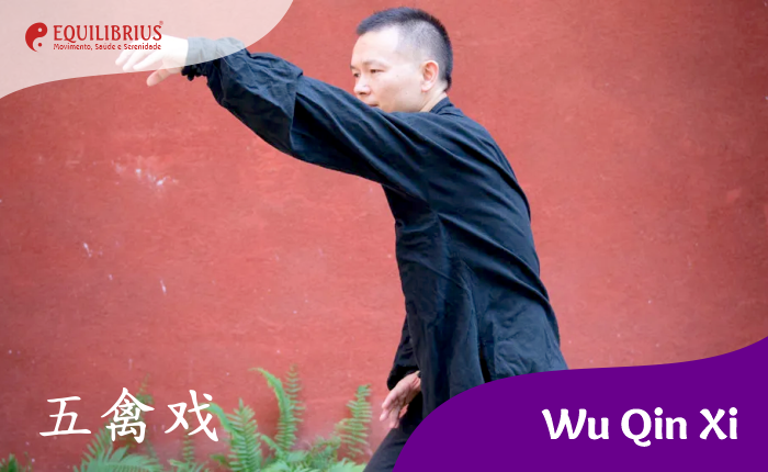 Curso de Wu Qin Xi
