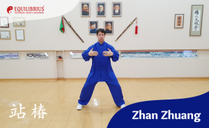 Curso de Zhan Zhuang EAD