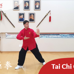 Curso de Tai Chi Chuan - Forma 13 movimentos - Fernando