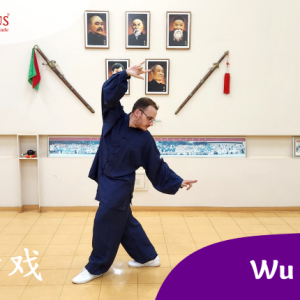 Curso de Wu Qin Xi - Chi Kung