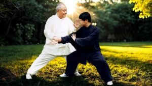 Tui Shou - Yang Zhenduo e Yang Jun