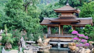 Qi Gong - benefícios para estudantes universitários