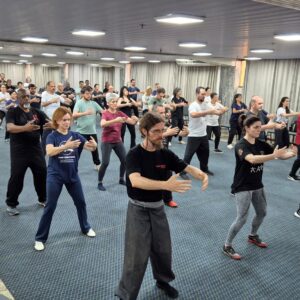 Seminário de Tai Chi Chuan em Ribeirão Preto / EQUILIBRIUS - 2025