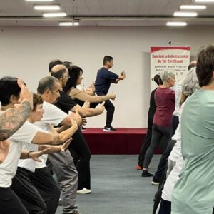 Seminário de Tai Chi Chuan em Ribeirão Preto / EQUILIBRIUS - 2025